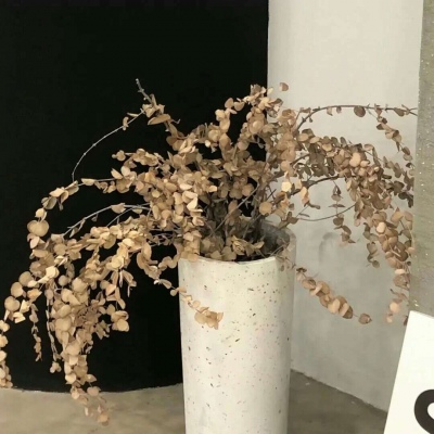 赤壁FurryQQ群介绍